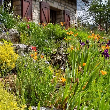 'chez Colette' Paisible, Jardin - 10 A 11 Voyageurs Vila Mende